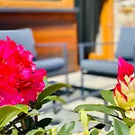 Apartman Apartamenty Piwniczna *