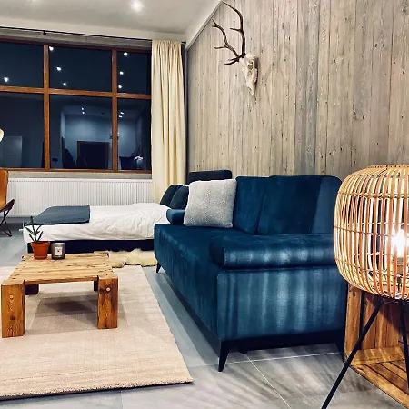 Апартаменты Apartamenty Piwniczna Piwniczna-Zdroj