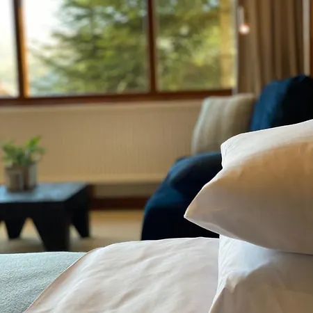 Апартаменты Apartamenty Piwniczna