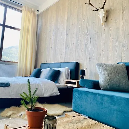 Apartamenty Piwniczna Daire *
