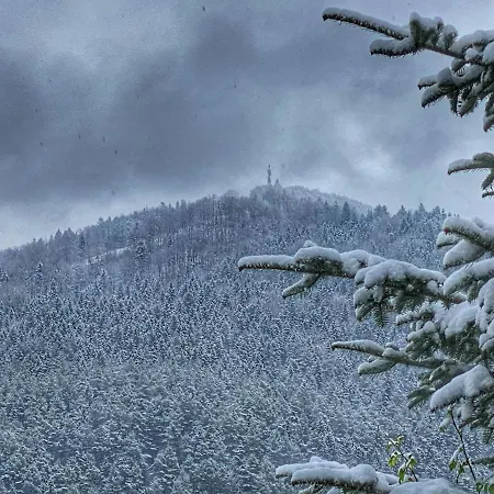 Apartamenty Piwniczna