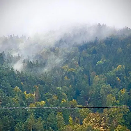 Apartamenty Piwniczna * Piwniczna-Zdroj