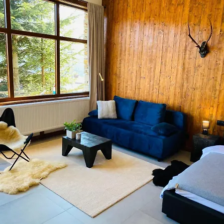 Апартаменты Apartamenty Piwniczna *