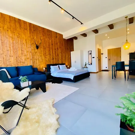 Апартаменты Apartamenty Piwniczna Piwniczna-Zdroj