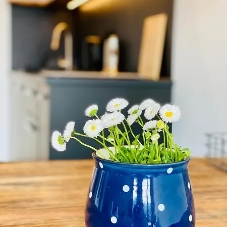 Apartamenty Piwniczna *