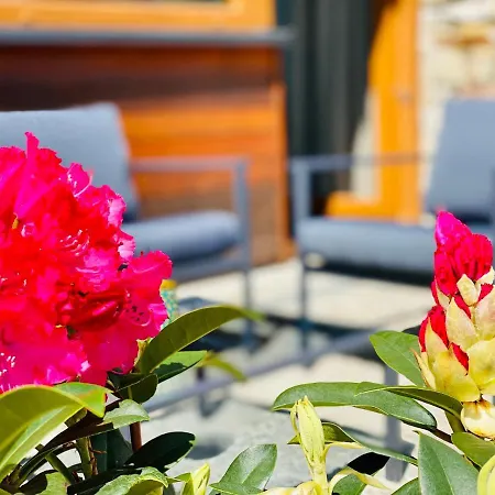 Апартаменты Apartamenty Piwniczna *